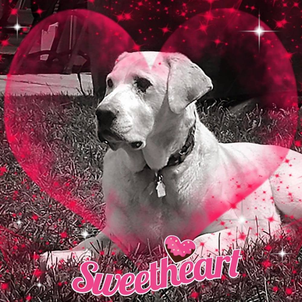 Meet your Posher, Melanie